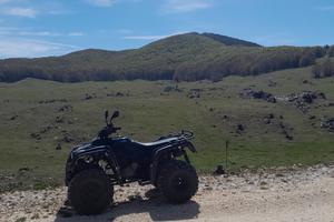 Altro Altro modello - 2007