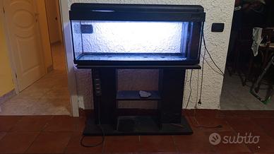 Acquario completo