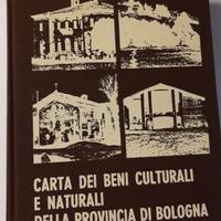 Carta Beni Culturali e Naturali - Bologna