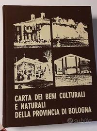 Carta Beni Culturali e Naturali - Bologna