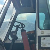 Ragno solmec per tronchi