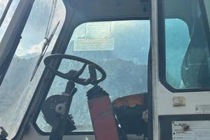 Ragno solmec per tronchi