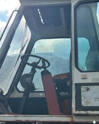 Ragno solmec per tronchi