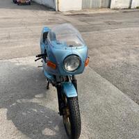 DUCATI PANTA DESMO 500 Del 1982