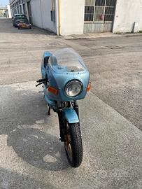 DUCATI PANTA DESMO 500 Del 1982
