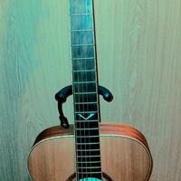eko evo a 350 e baritone