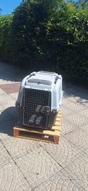 kennel iata 6