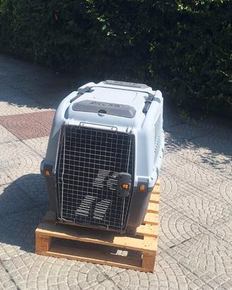 kennel iata 6