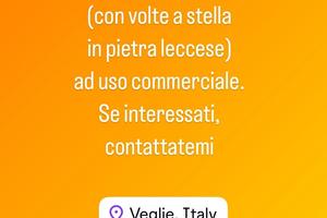 Locale commerciale volte a stella