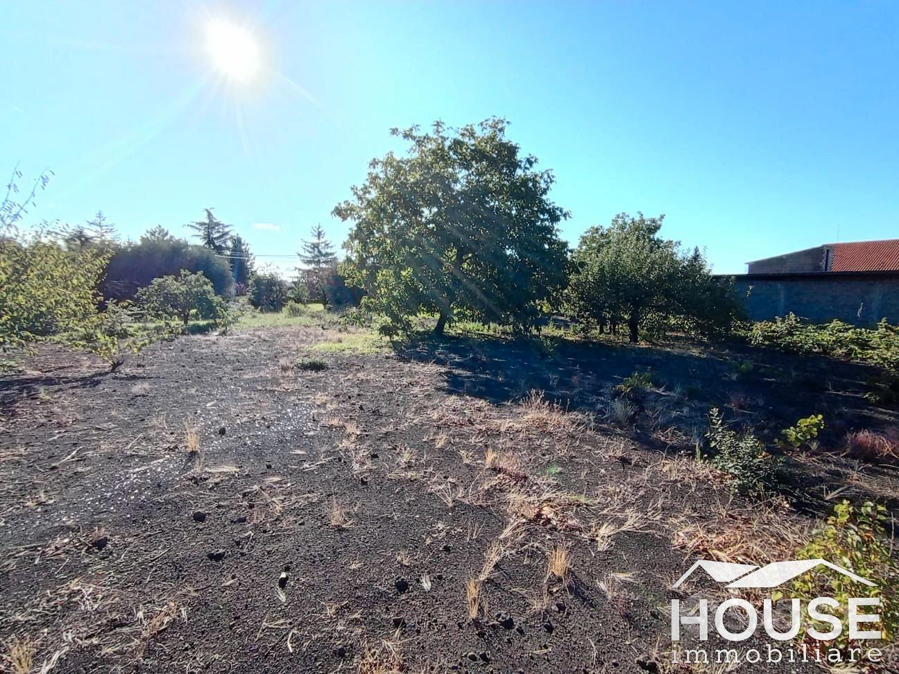 RAGALNA – TERRENO EDIFICABILE ID: PRA135T - Vista 3