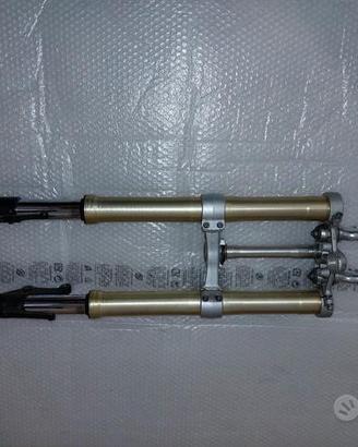 Forcella anteriore triumph street triple 675