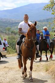 Cavalla sella italiana