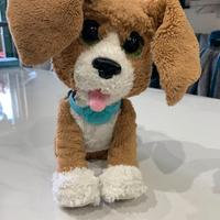Cane,Cagnolino chiacchierino Chatty CharlieFurReal