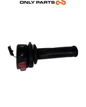 Devioluci DX / manopola gas BMW C 400 X anno 2020