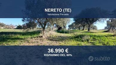 Immobile in asta di 6583 m² a Nereto