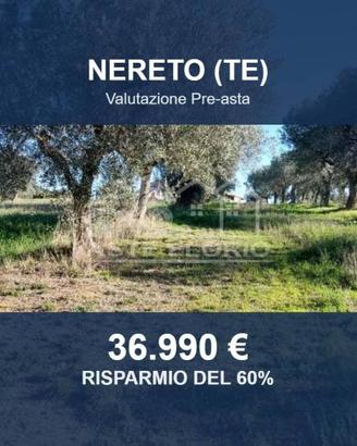 Immobile in asta di 6583 m² a Nereto