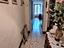 Immagine 22