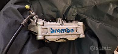 pinza  brembo 