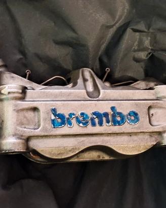 pinza  brembo 