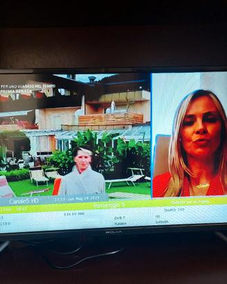TV LED 32 pollici