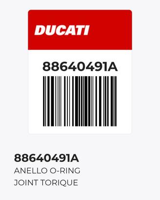 Guarnizione pompa benzina Ducati Monster 