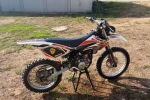 Beta rr 50