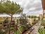 Immagine 25
