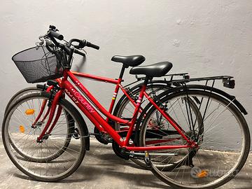 Coppia di bici da citta uomo e donna