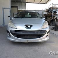 Ricambi peugeot 207 rf1071