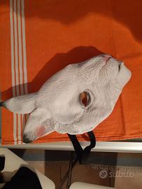 Maschere in gomma da indossare