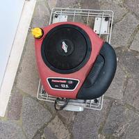 Motore Briggs & Stratton 13,5 hp