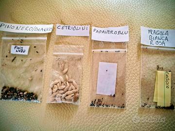 RARI SEMI PINO BIANCO,FRAGOLA,PAPAV BLU,CETRIOLIN