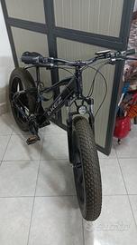 MTB Fat bike Electric 26 Pollici 750W 48V