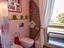 Immagine 11