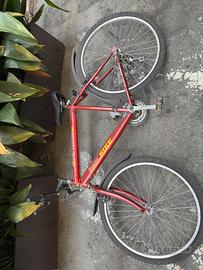 Bicicletta per ragazzo