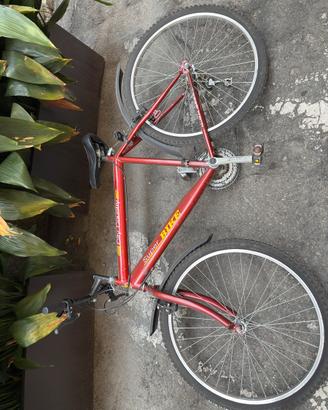 Bicicletta per ragazzo