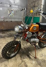 Benelli Mini Cross