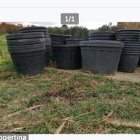 vasi da giardino in polietilene 