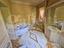 Immagine 25