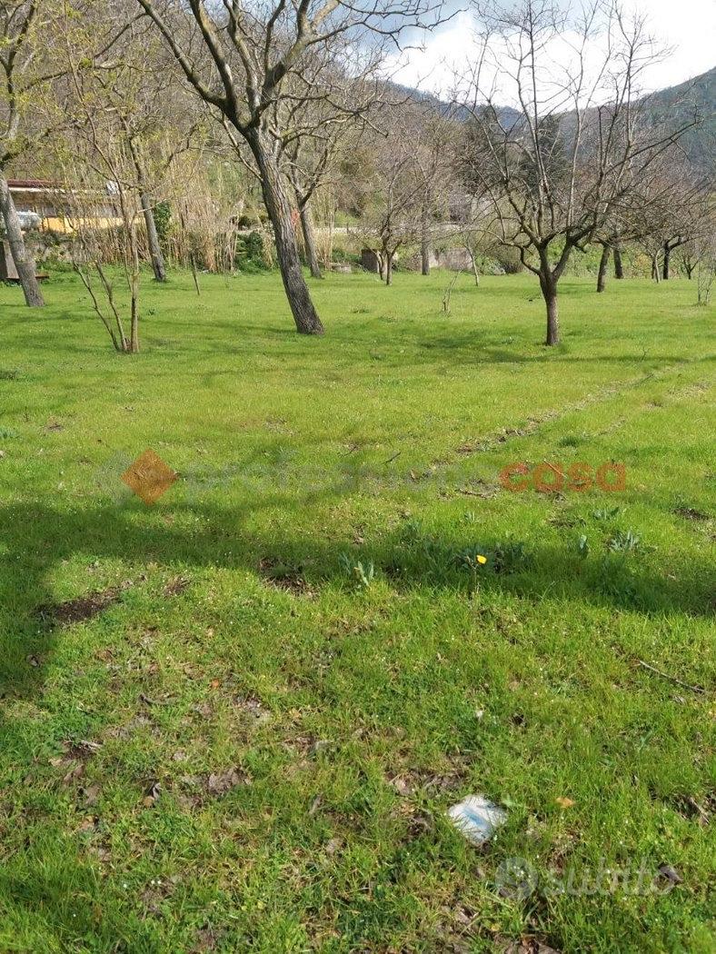 Terreno Agricolo Castel San Giorgio - Altro