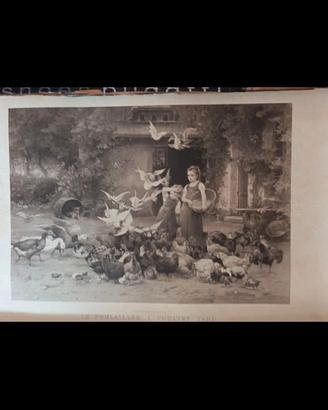 Litografía LE POULAILLER Coupil EDITEUR 1879