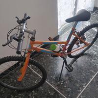 Bicicletta montanbike