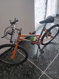 Bicicletta montanbike