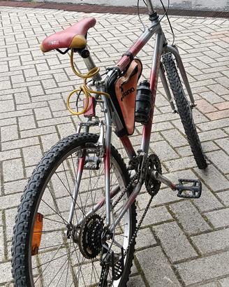 bicicletta Mountain bike 