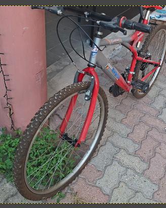 Mountain bike 26" cambio Shimano