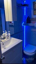 Delizioso Bilocale in villa