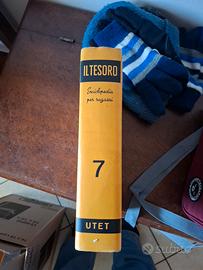 volume 7enciclopedia il tesoro