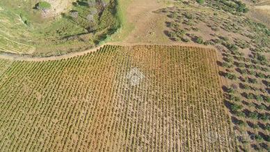 TERRENO A ALCAMO