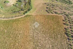 TERRENO A ALCAMO