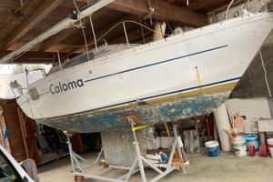 Barca a vela in alluminio